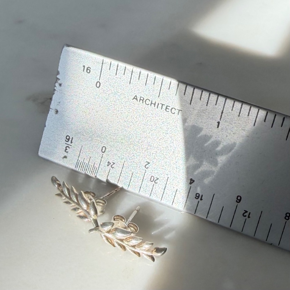 Blue Nile sterling silver leaf studs